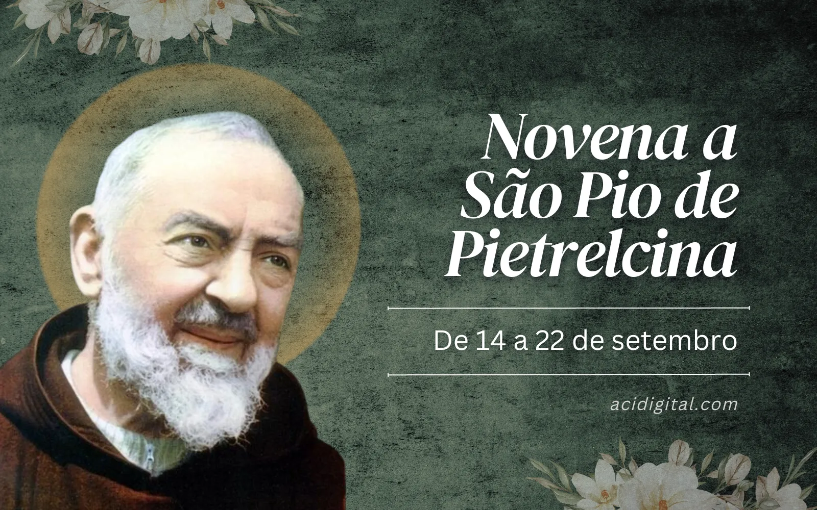 Novena a são Pio de Pietrelcina, o sacerdote dos estigmas