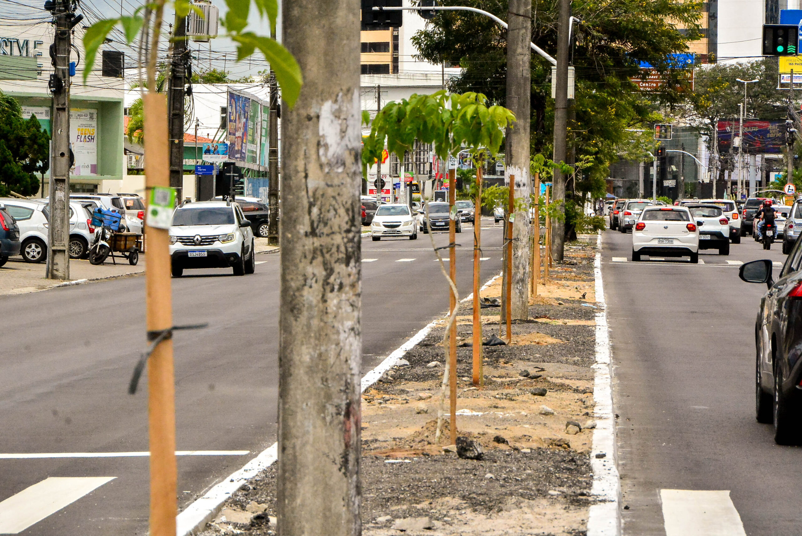 Semam realiza plantio de mudas nativas no canteiro central da Avenida Ruy Carneiro