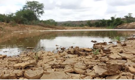 Alerta de clima seco atinge mais de 70 cidades da Paraíba; umidade pode cair a 12%