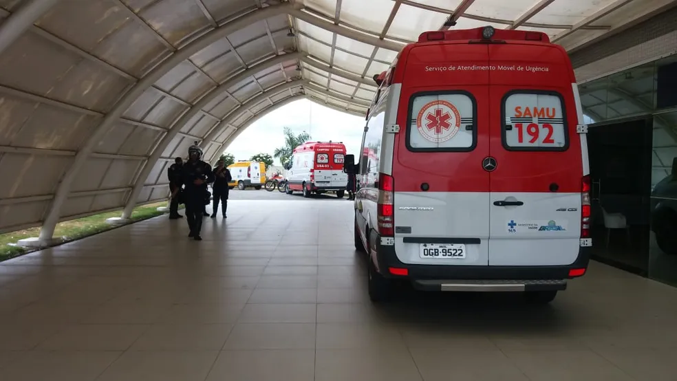 Duas pessoas estão em estado grave após ataques de abelhas em duas cidades da PB