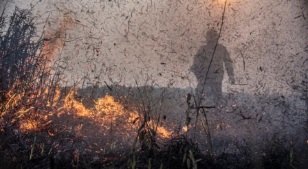 Focos de incêndios no Brasil já são 76% maiores que em 2023