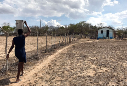 Paraíba tem quase 120 municípios em situação de emergência, sendo 115 por estiagem