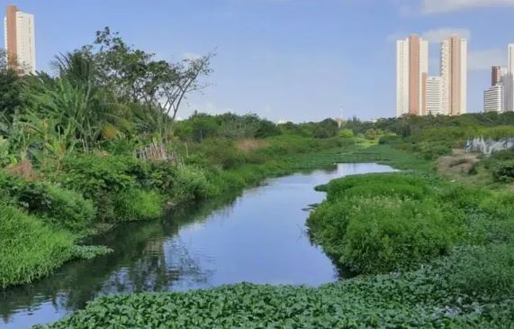 Sudema investiga poluição no Rio Jaguaribe, em João Pessoa, após espuma e peixes mortos