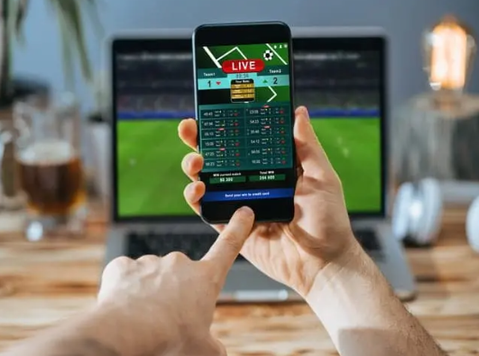 Bets: a engrenagem da destruição