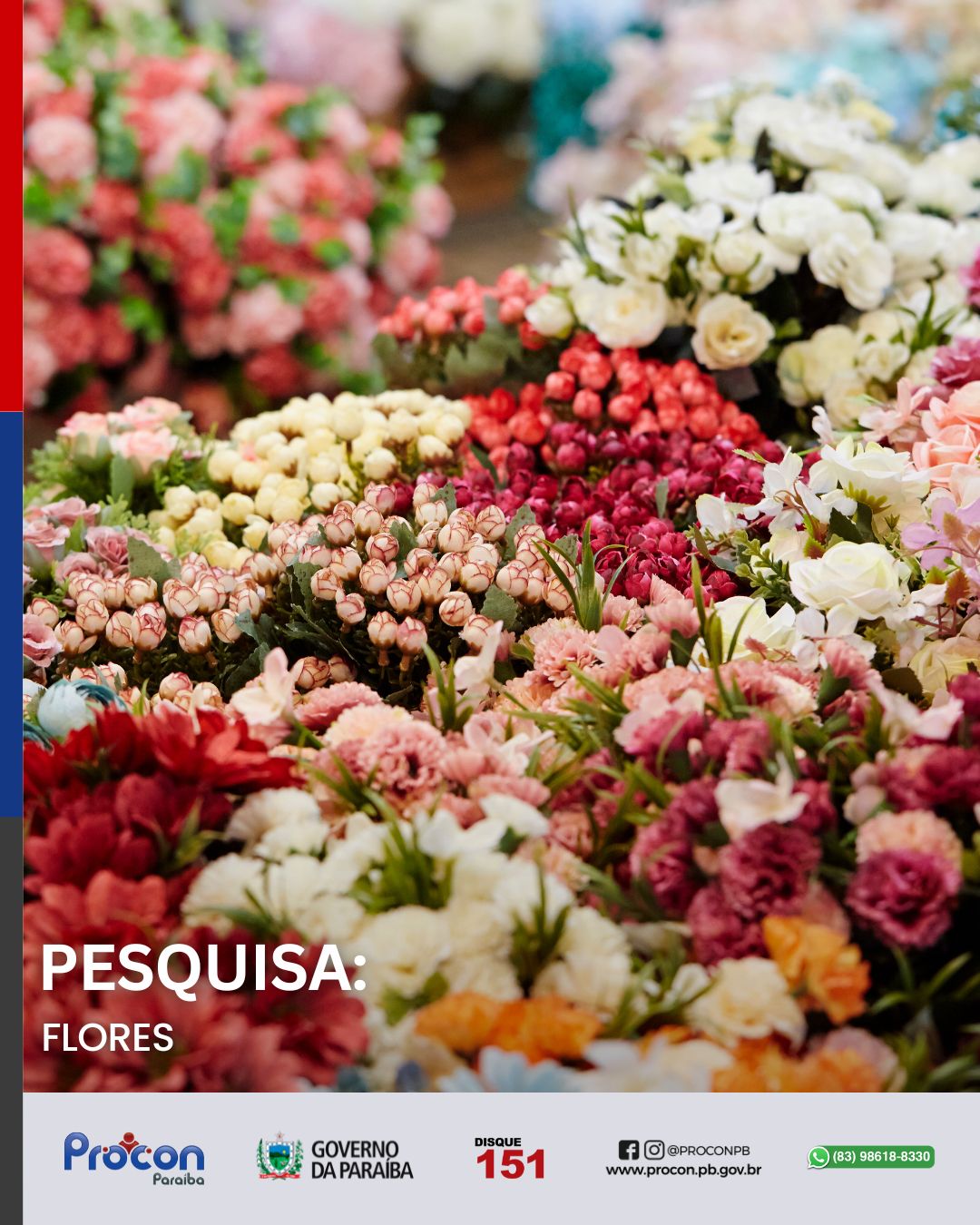 Pesquisa do Procon-PB revela variação de até 166% nos preços das flores para o Dia das Mães