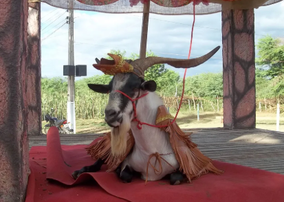 Cabaceiras se prepara para receber 200 mil pessoas na 26ª edição da Festa do Bode Rei a partir desta sexta-feira (6)