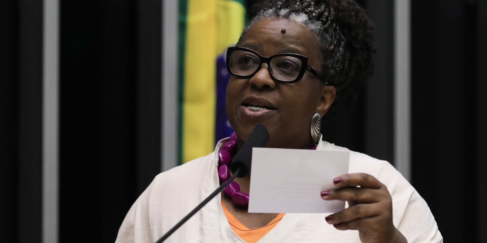 Direitos Humanos: Ministra Macaé Evaristo pede fim dos ataques a Gaza