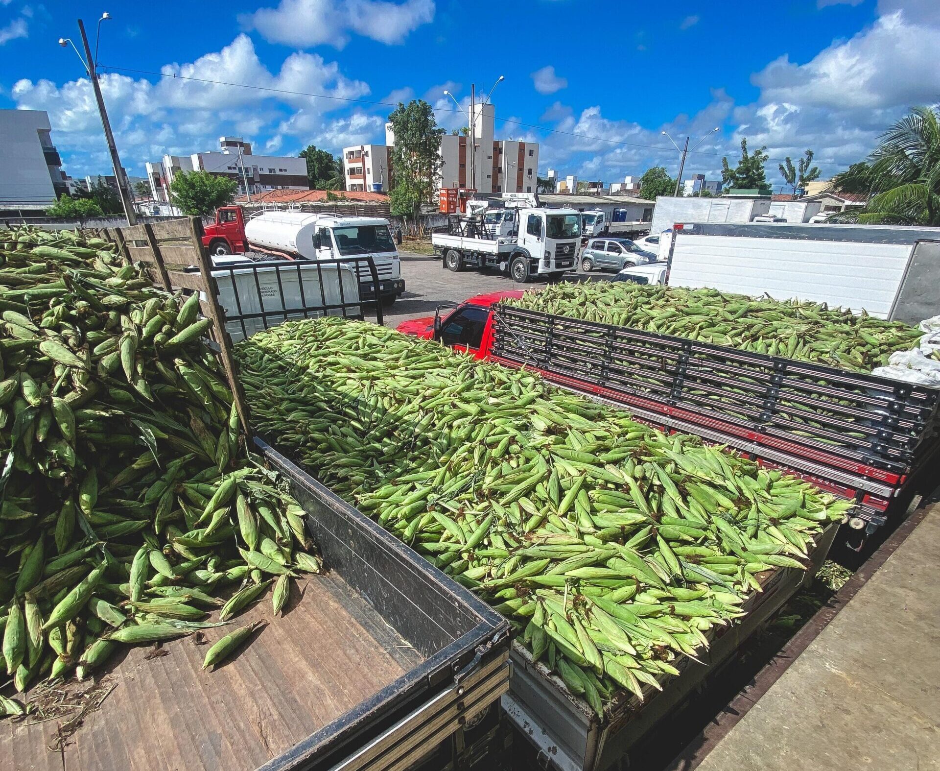 Famílias em vulnerabilidade social de João Pessoa recebem milho verde para garantir tradição junina