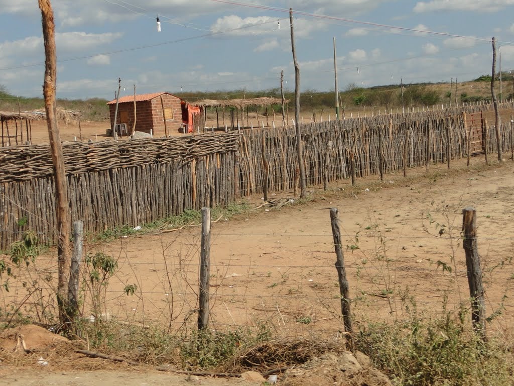 Governo Federal reconhece situação de emergência por estiagem em mais três municípios da Paraíba