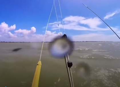 Você viu? Tubarão é flagrado por kitesurfista na praia de Intermares, em Cabedelo; veja o vídeo