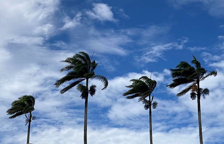 Rajadas de vento podem chegar a 60km/h em municípios do Litoral e Sertão da Paraíba, alerta Inmet