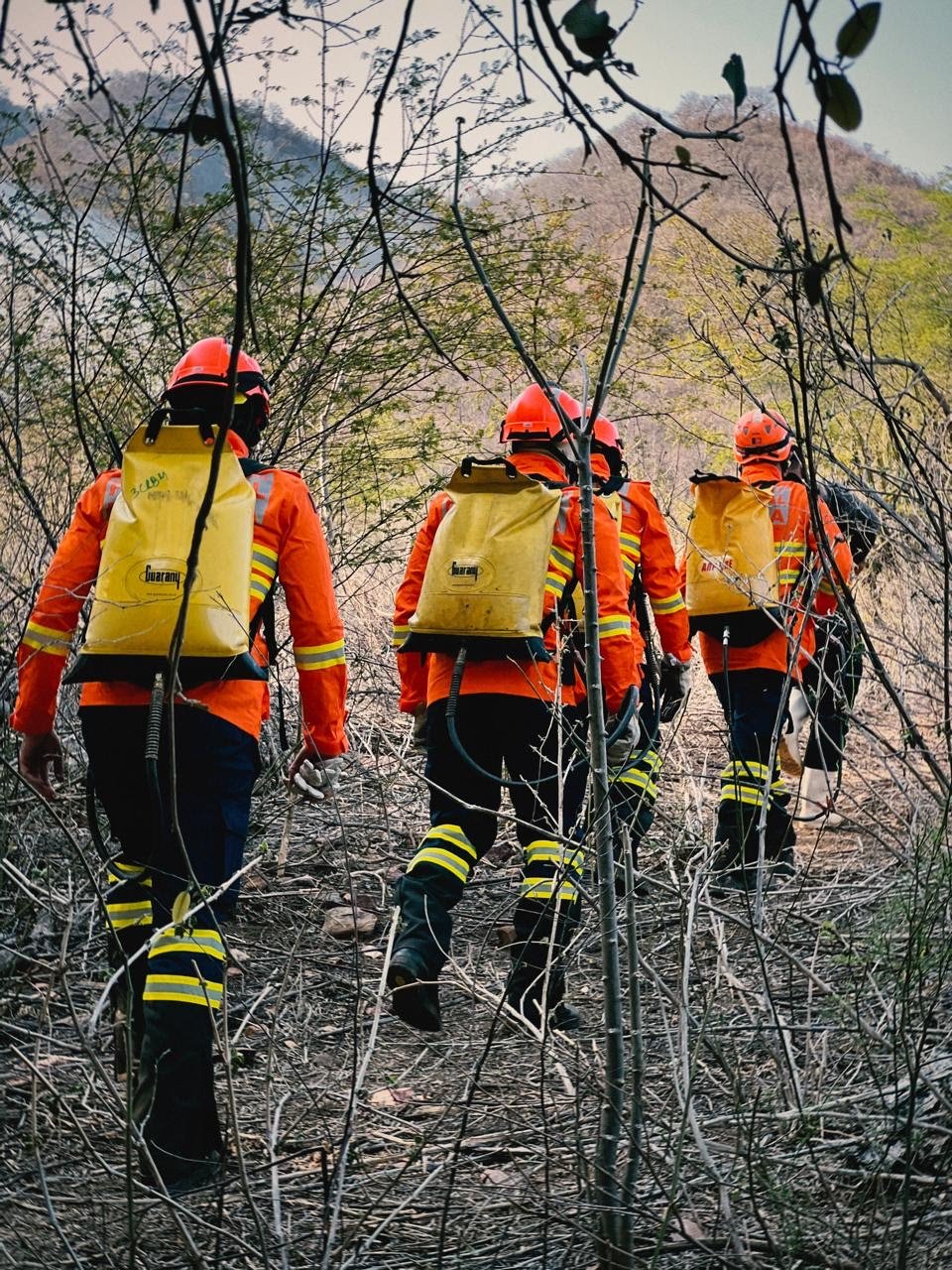 Força-tarefa intensifica trabalho e controla incêndio na Serra do Cruzeiro, no Sertão