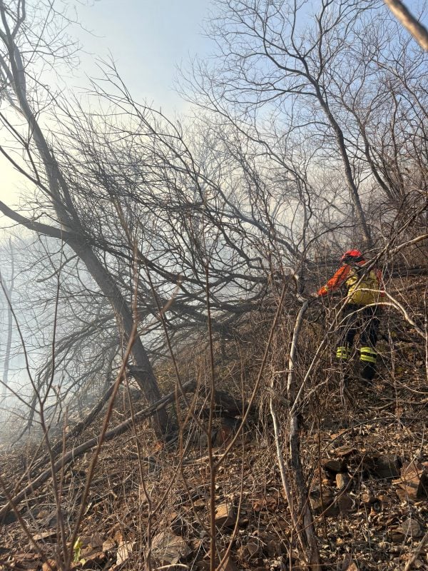Incêndio na Serra do Cruzeiro, na PB, já destruiu metade da vegetação nativa