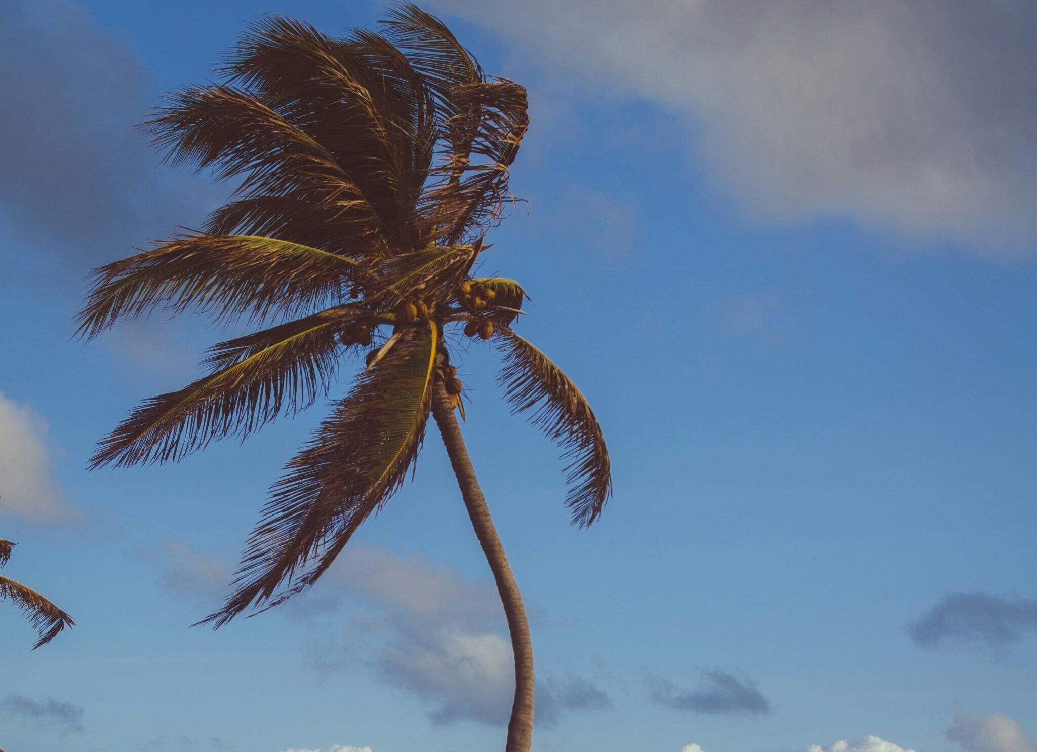Alerta de vendaval atinge quase 200 municípios na PB com ventos de até 60 km/h