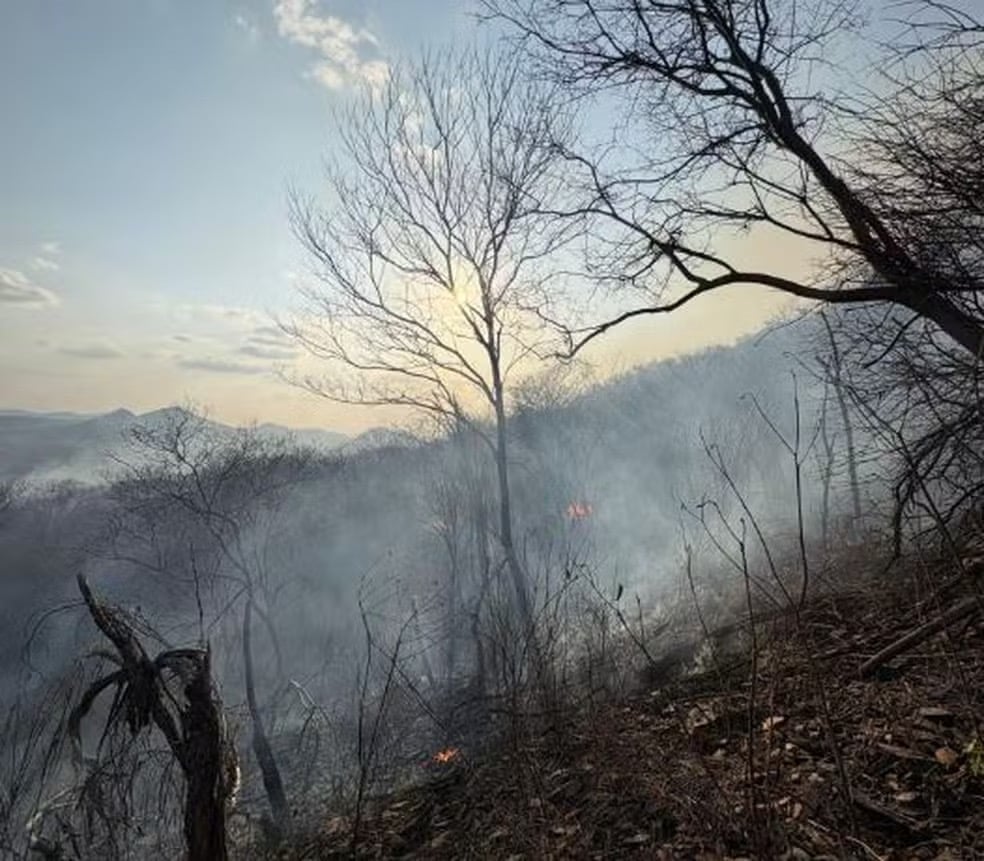 Operação para combater incêndio florestal no Sertão da PB é reforçada com mais bombeiros, aeronave e monitoramento via satélite
