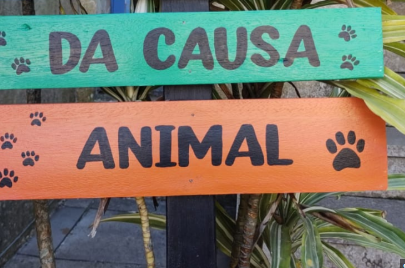 Paraíba pode ganhar Secretaria da Causa Animal