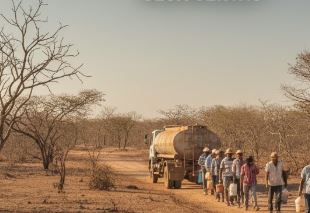 Paraíba tem duas cidades em situação de emergência por conta da estiagem, aponta MDR