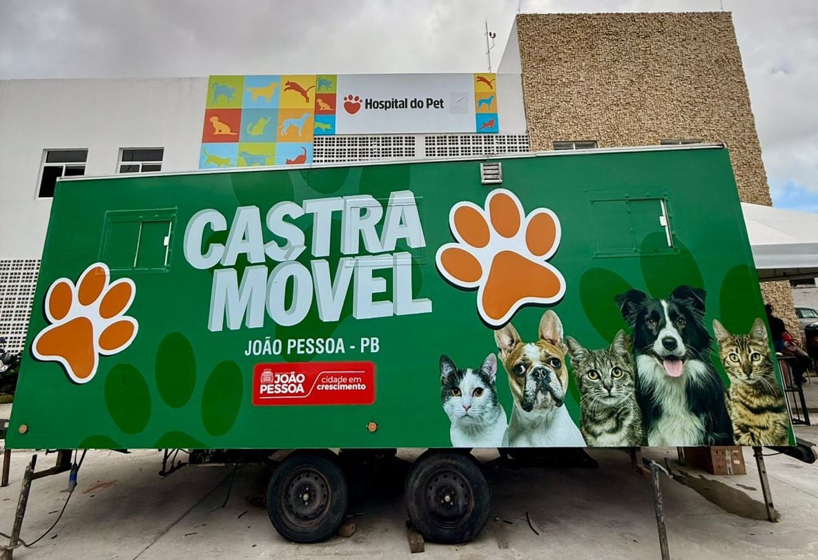 Projeto que leva cuidado e castração de gatos aos bairros de João Pessoa será iniciado nesta segunda-feira