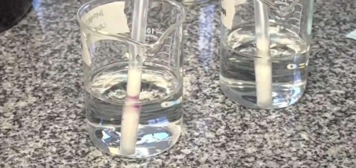 Tecnologia da UEPB que detecta metanol em bebidas destiladas entra em fase de ensaio para produção em escala