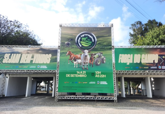 Após veto na Estação Ciência, leilão de cavalos é transferido para o Parque de Exposições