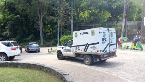 Homem invade jaula de leoa na Bica, é atacado e morre; Prefeitura de João Pessoa apura o caso