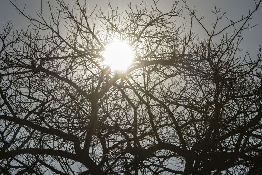Paraíba sob alerta: Inmet prevê calor intenso e baixa umidade em várias regiões