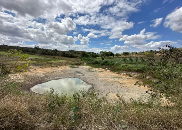 Inmet emite alerta de clima extremamente seco para 96 cidades da Paraíba