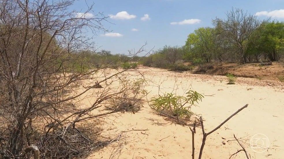 Oito municípios da Paraíba têm situação de emergência reconhecida por estiagem