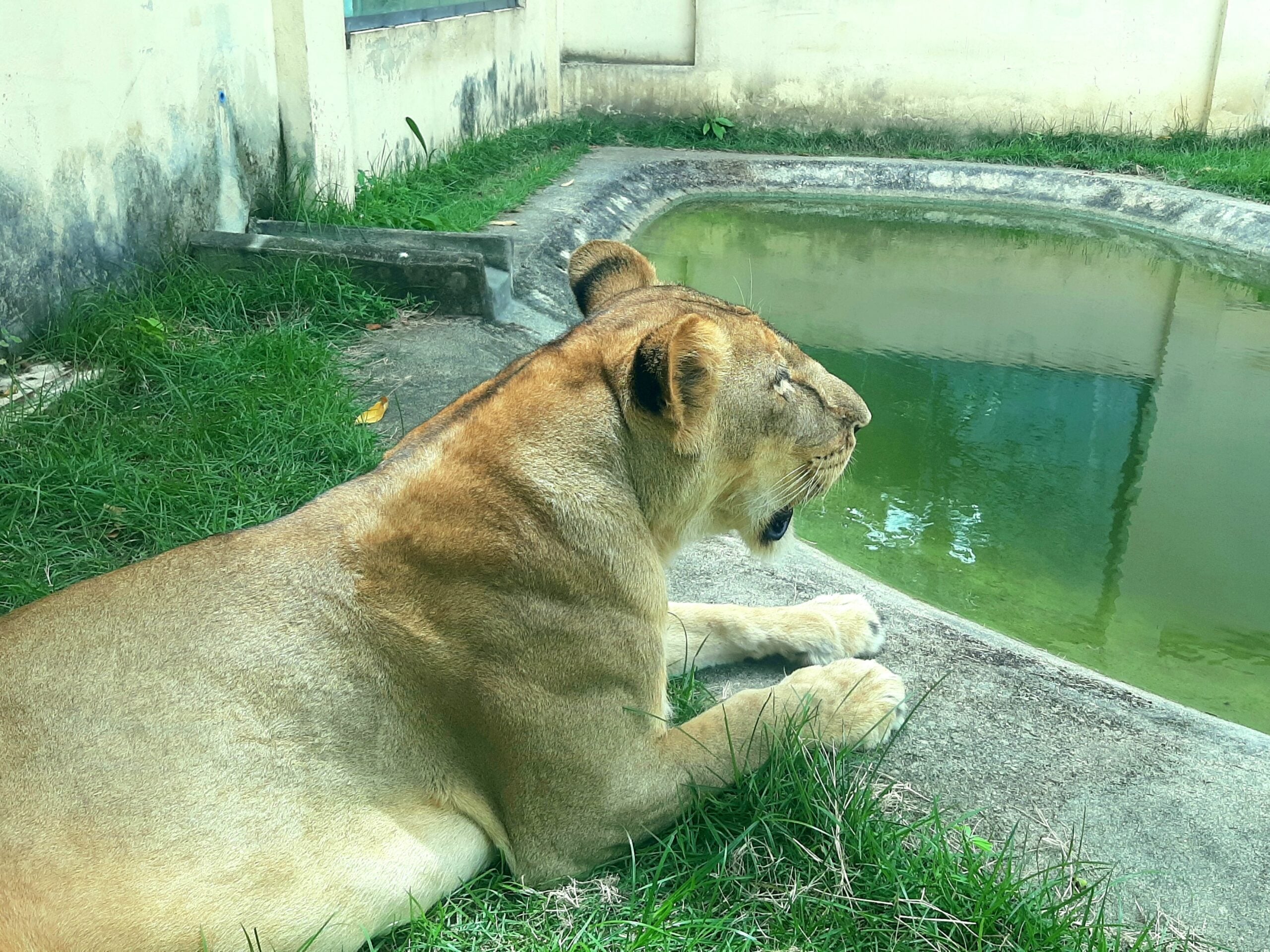 Prefeitura de João Pessoa revela que invasão à Bica que resultou na morte de jovem ocorreu durante a madrugada