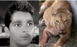 Quando a dor ruge mais alto que a razão!