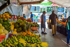 PMJP garante atendimento de serviços essenciais no feriadão de Ano Novo