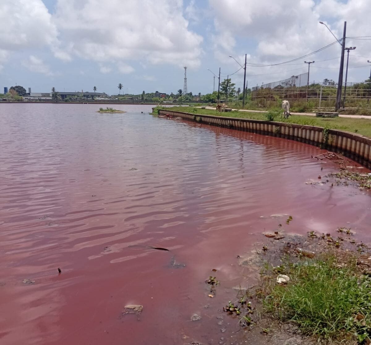 Semam notifica Cagepa e Sudema por poluição ambiental nas Três Lagoas