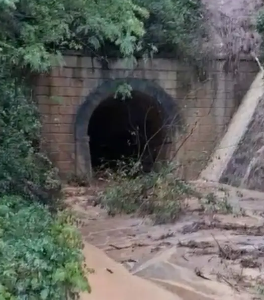 Fortes chuvas provocam queda de árvore, alagamentos e interditam túnel em Bananeiras