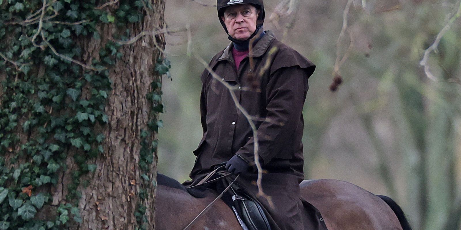 Irmão do Rei Charles III é preso pela polícia britânica