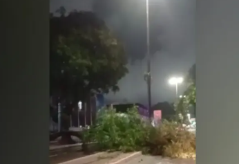 Queda de árvore interdita trecho da Avenida Epitácio Pessoa na madrugada deste domingo