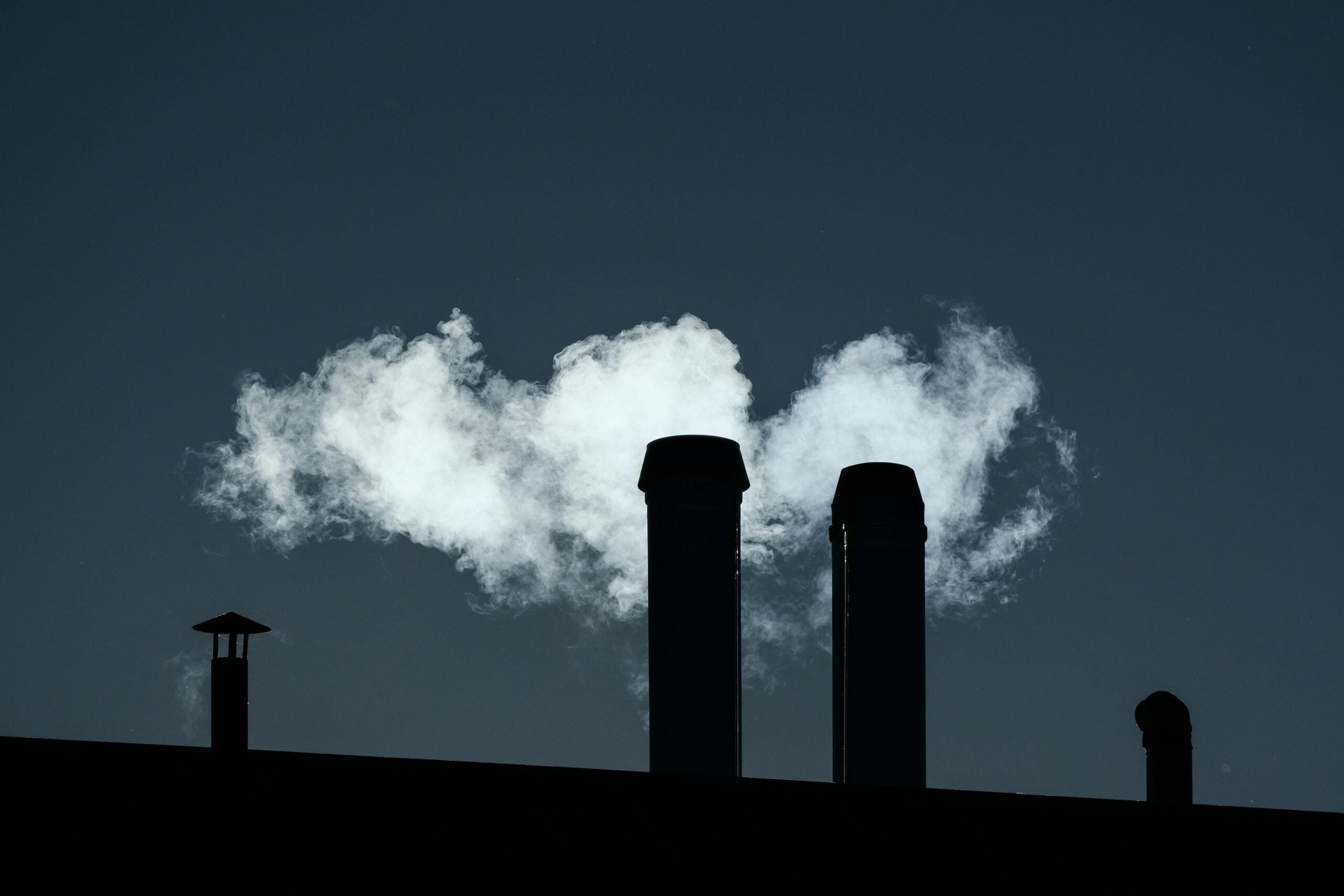 Governo lança ferramenta científica para medir carbono e fortalecer políticas ambientais na PB