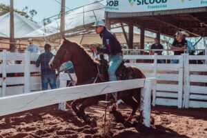 MPPB barra vaquejadas no Sertão e exige cumprimento das normas ambientais