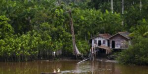 Projeto leva tratamento gratuito a doenças negligenciadas no Amazonas