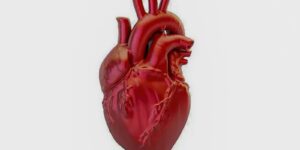 A cada 72 segundos, uma pessoa morre por doença cardiovascular no país